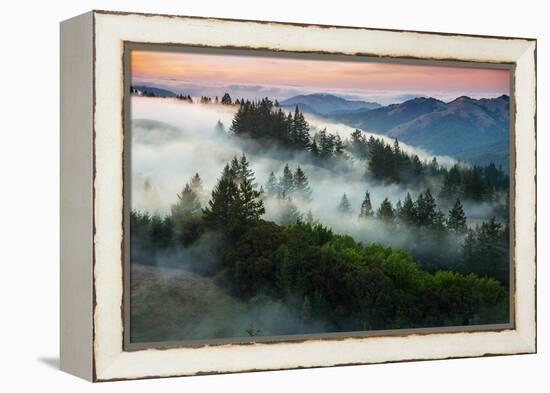 Night Comes Down Fog Rolls In, Northern California Coast-Vincent James-Framed Premier Image Canvas