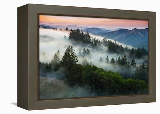 Night Comes Down Fog Rolls In, Northern California Coast-Vincent James-Framed Premier Image Canvas