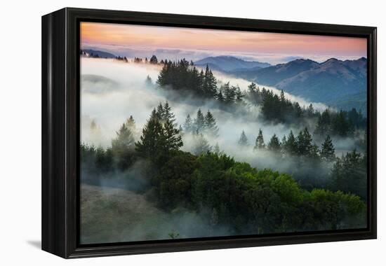 Night Comes Down Fog Rolls In, Northern California Coast-Vincent James-Framed Premier Image Canvas