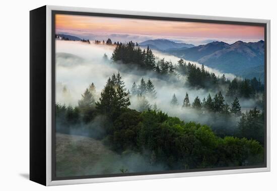 Night Comes Down Fog Rolls In, Northern California Coast-Vincent James-Framed Premier Image Canvas