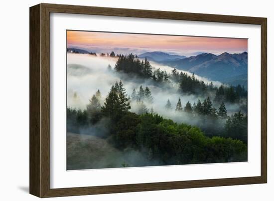 Night Comes Down Fog Rolls In, Northern California Coast-Vincent James-Framed Photographic Print