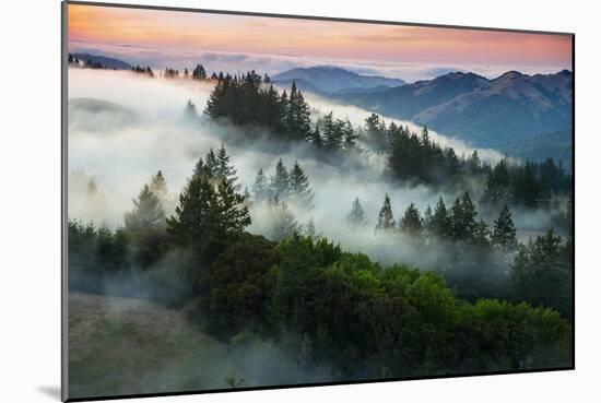 Night Comes Down Fog Rolls In, Northern California Coast-Vincent James-Mounted Photographic Print