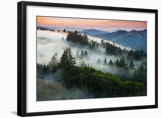 Night Comes Down Fog Rolls In, Northern California Coast-Vincent James-Framed Photographic Print