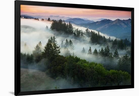 Night Comes Down Fog Rolls In, Northern California Coast-Vincent James-Framed Photographic Print