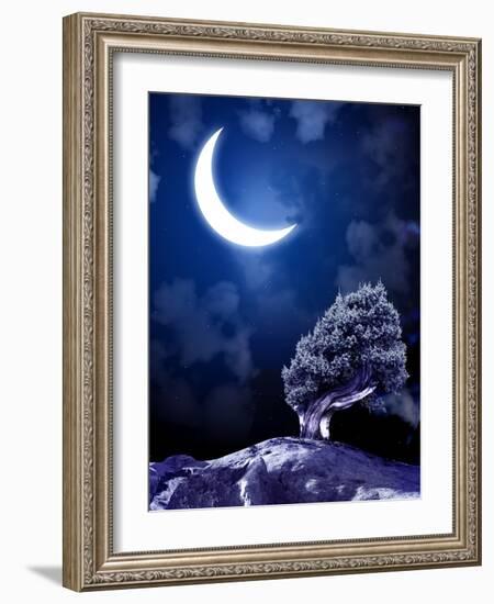 Night Fairy-Tale. Bright Moon and Tree-frenta-Framed Photographic Print