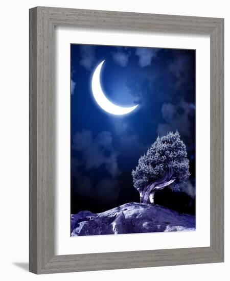 Night Fairy-Tale. Bright Moon and Tree-frenta-Framed Photographic Print