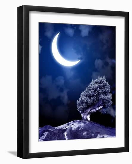 Night Fairy-Tale. Bright Moon and Tree-frenta-Framed Photographic Print