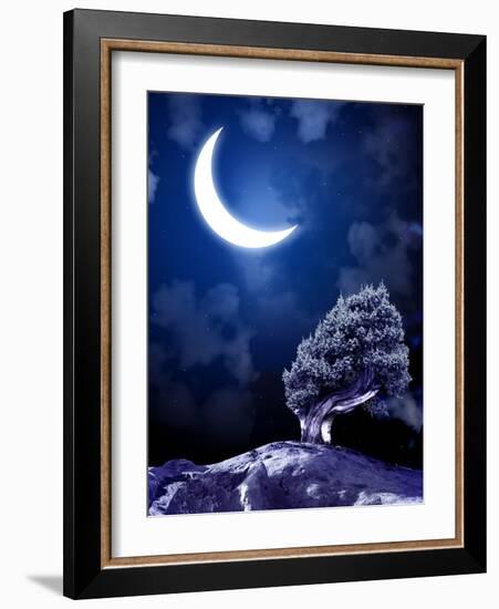 Night Fairy-Tale. Bright Moon and Tree-frenta-Framed Photographic Print