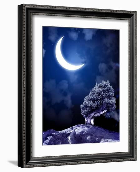 Night Fairy-Tale. Bright Moon and Tree-frenta-Framed Photographic Print