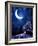 Night Fairy-Tale. Bright Moon and Tree-frenta-Framed Photographic Print