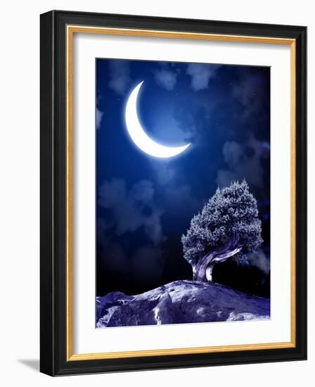 Night Fairy-Tale. Bright Moon and Tree-frenta-Framed Photographic Print