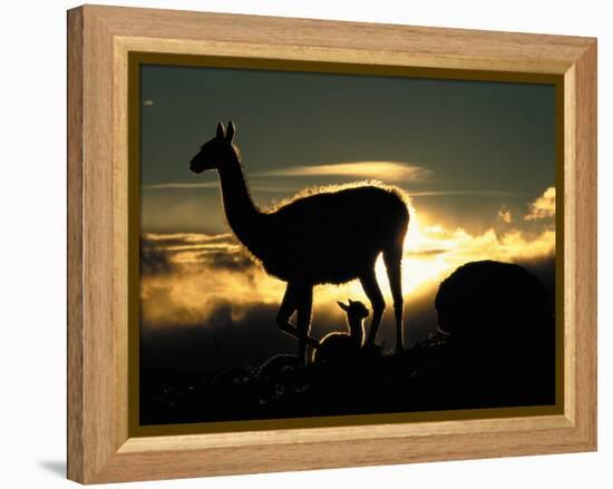 Night Fall-Art Wolfe-Framed Premier Image Canvas