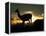 Night Fall-Art Wolfe-Framed Premier Image Canvas