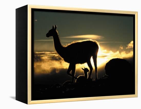 Night Fall-Art Wolfe-Framed Premier Image Canvas