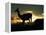 Night Fall-Art Wolfe-Framed Premier Image Canvas