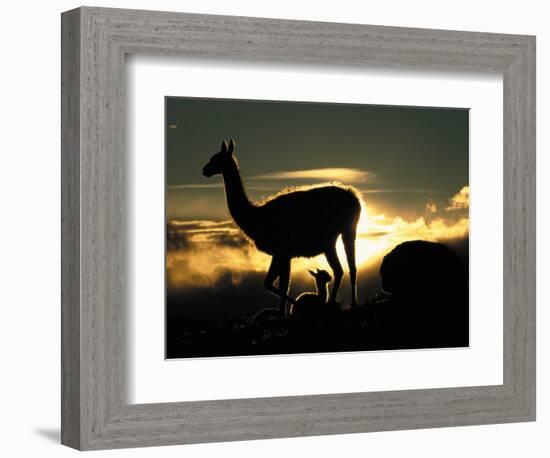 Night Fall-Art Wolfe-Framed Photographic Print