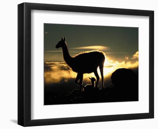 Night Fall-Art Wolfe-Framed Photographic Print