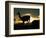 Night Fall-Art Wolfe-Framed Photographic Print