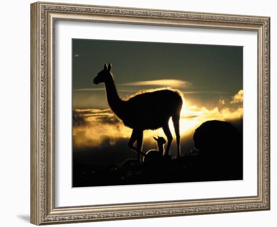 Night Fall-Art Wolfe-Framed Photographic Print