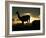 Night Fall-Art Wolfe-Framed Photographic Print