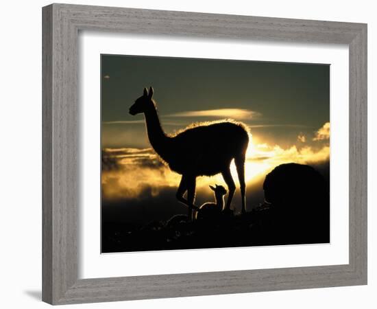 Night Fall-Art Wolfe-Framed Photographic Print