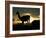 Night Fall-Art Wolfe-Framed Photographic Print