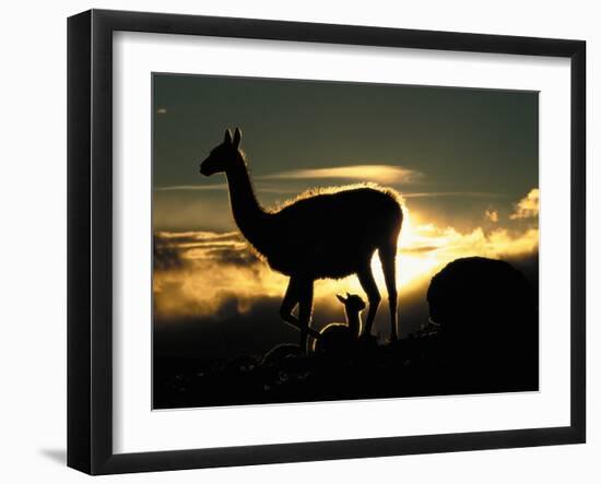 Night Fall-Art Wolfe-Framed Photographic Print