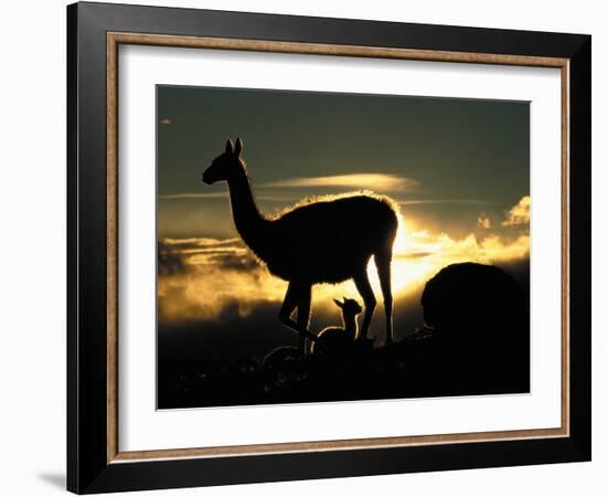 Night Fall-Art Wolfe-Framed Photographic Print