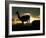 Night Fall-Art Wolfe-Framed Photographic Print