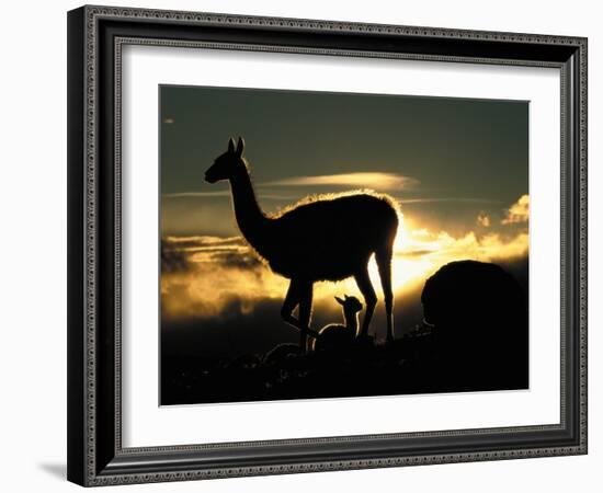 Night Fall-Art Wolfe-Framed Photographic Print