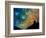 Night Falls-Cindy Thornton-Framed Art Print