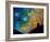 Night Falls-Cindy Thornton-Framed Art Print