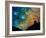 Night Falls-Cindy Thornton-Framed Art Print