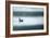 Night Fishing-Paul Powis-Framed Giclee Print