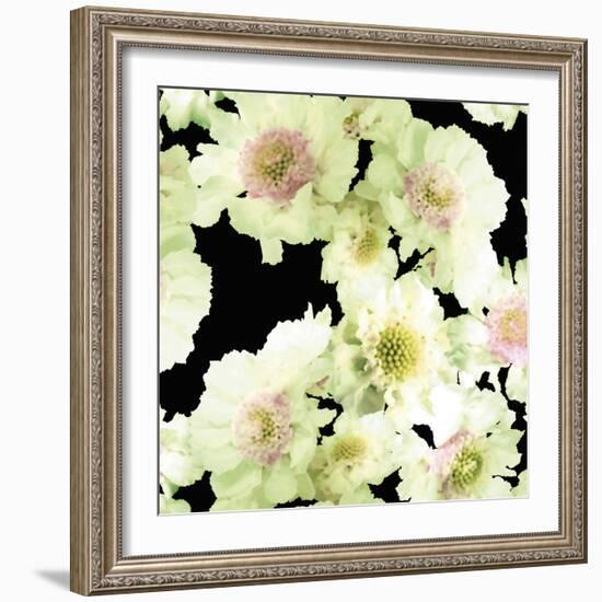 Night Flower Cascade I-Sukhanlee-Framed Giclee Print