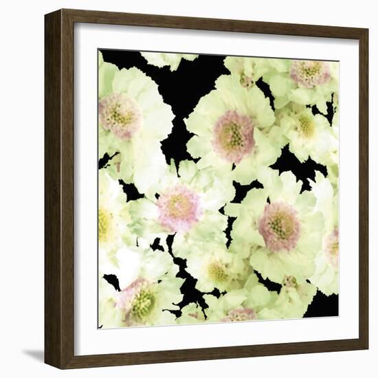 Night Flower Cascade II-Sukhanlee-Framed Giclee Print