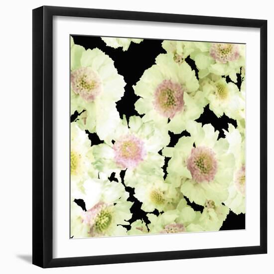 Night Flower Cascade II-Sukhanlee-Framed Giclee Print