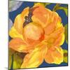 Night Flower I-Sandra Jacobs-Mounted Giclee Print