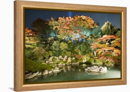 Night Illuminations of Temple Gardens, Shoren-In Temple, Southern Higashiyama, Kyoto, Japan-Stuart Black-Framed Premier Image Canvas