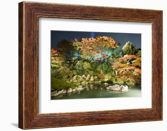 Night Illuminations of Temple Gardens, Shoren-In Temple, Southern Higashiyama, Kyoto, Japan-Stuart Black-Framed Photographic Print