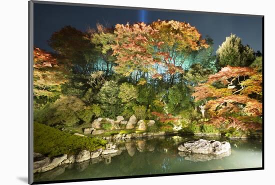 Night Illuminations of Temple Gardens, Shoren-In Temple, Southern Higashiyama, Kyoto, Japan-Stuart Black-Mounted Photographic Print