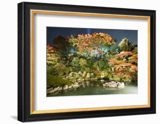 Night Illuminations of Temple Gardens, Shoren-In Temple, Southern Higashiyama, Kyoto, Japan-Stuart Black-Framed Photographic Print