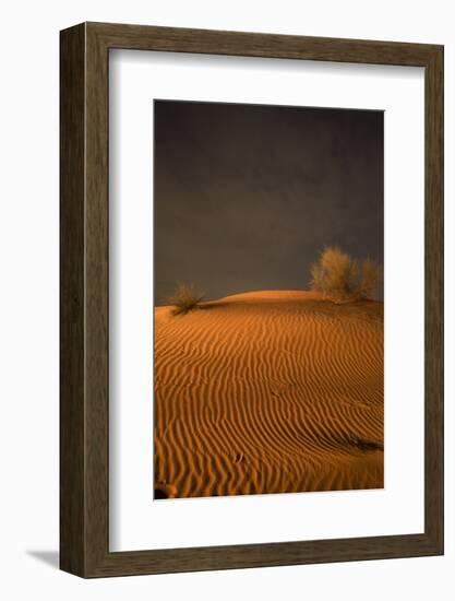 Night in the desert. Abu Dhabi, UAE.-Tom Norring-Framed Photographic Print