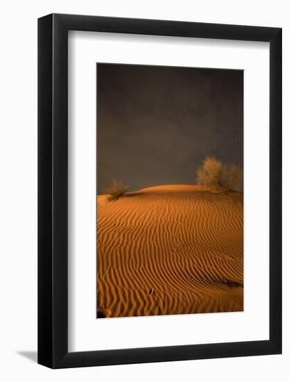 Night in the desert. Abu Dhabi, UAE.-Tom Norring-Framed Photographic Print