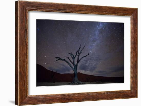 Night Landscape Lone Acacia Tree, Deadvlei Pan, Namib Naukluft NP Stars Of Milky Way Galaxy Sparkle-Karine Aigner-Framed Photographic Print