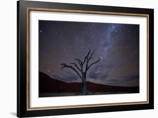 Night Landscape Lone Acacia Tree, Deadvlei Pan, Namib Naukluft NP Stars Of Milky Way Galaxy Sparkle-Karine Aigner-Framed Photographic Print