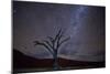 Night Landscape Lone Acacia Tree, Deadvlei Pan, Namib Naukluft NP Stars Of Milky Way Galaxy Sparkle-Karine Aigner-Mounted Photographic Print