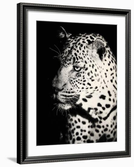 Night Leopard-Wink Gaines-Framed Giclee Print