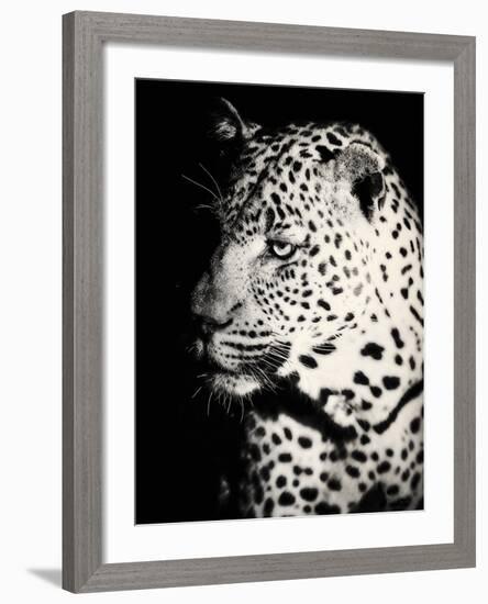 Night Leopard-Wink Gaines-Framed Giclee Print