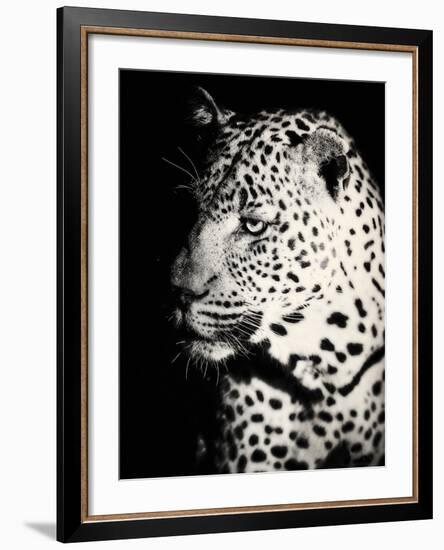 Night Leopard-Wink Gaines-Framed Giclee Print